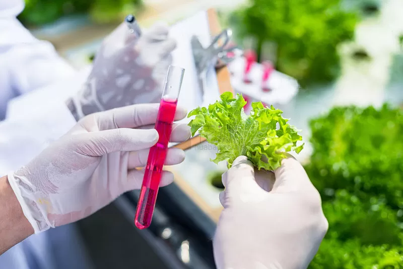 武汉江岸区召开食品生产领域工作部署暨食品添加剂规范使用业务培训会