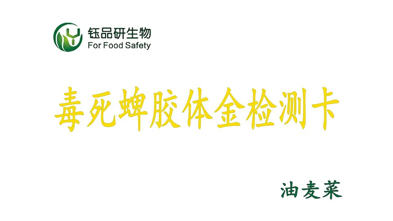 油麦菜毒死蜱农残快筛：胶体金检测卡操作全流程