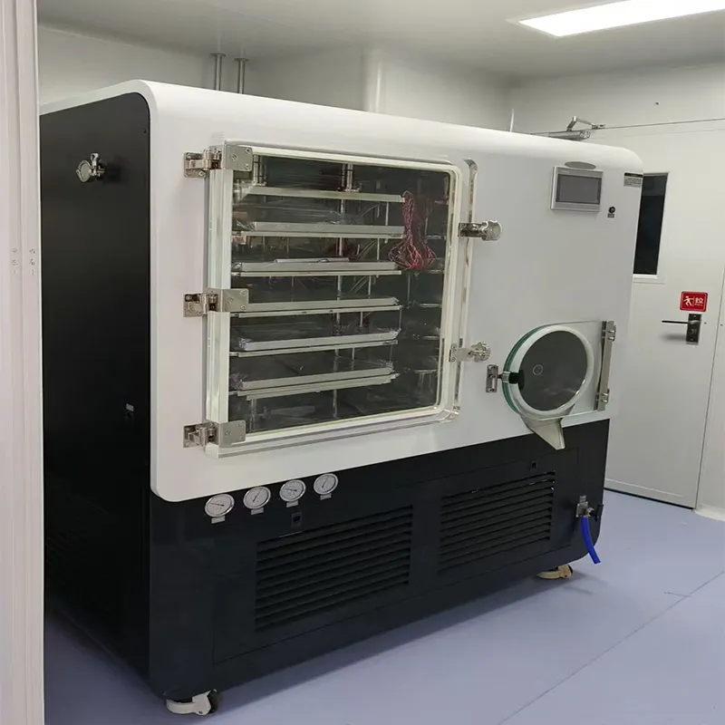 冷冻电镜结构解析服务